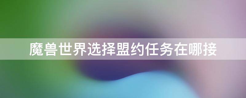 魔兽世界选择盟约任务在哪接 wow9.0盟约任务在哪接