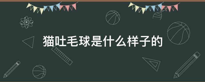 猫吐毛球是什么样子的 猫吐毛球是啥样的