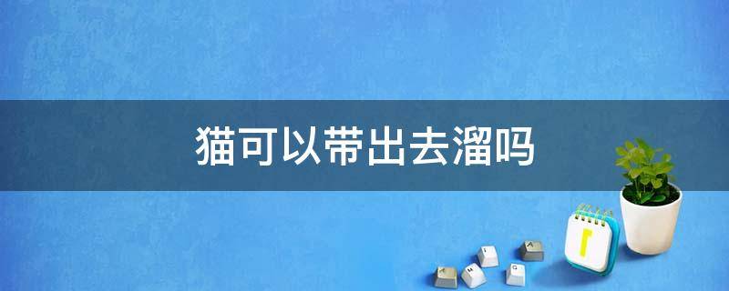 猫可以带出去溜吗 猫能带出去溜溜吗