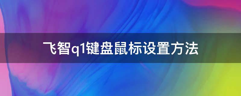 飞智q1键盘鼠标设置方法（飞智q1设置键盘按键教学）