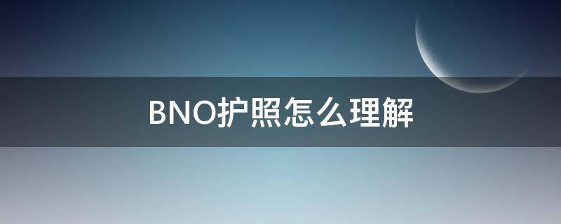 BNO护照怎么理解（BNO护照什么意思）