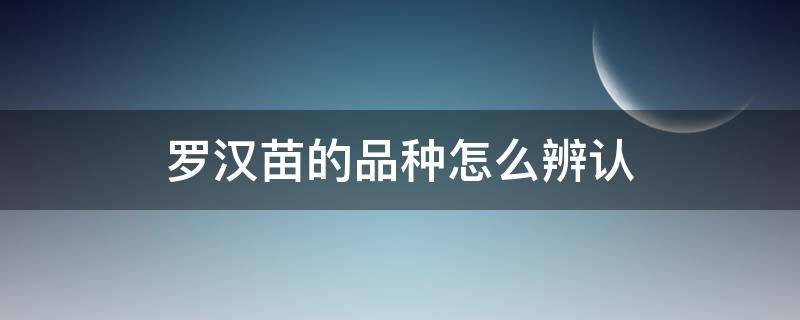 罗汉苗的品种怎么辨认 罗汉幼苗的挑选图解