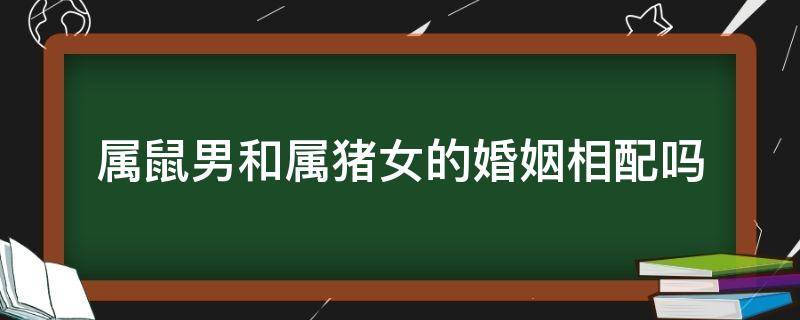 属鼠男和属猪女的婚姻相配吗（属猪男和属鼠女婚姻相配吗属相最配）