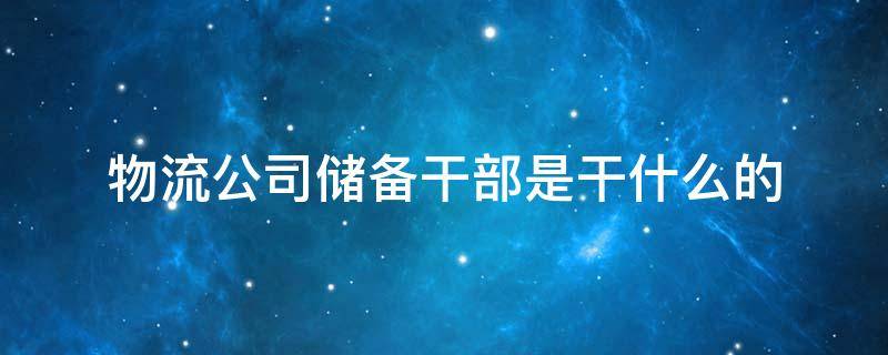 物流公司储备干部是干什么的 物流公司储备管理是干什么