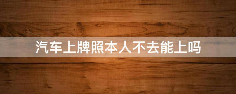 汽车上牌照本人不去能上吗 汽车上牌本人不去可以吗?