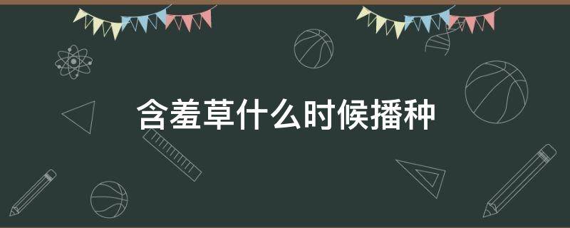 含羞草什么时候播种 含羞草什么时候播种他是怎么播种的