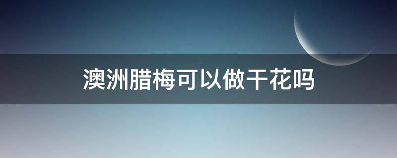 澳洲腊梅可以做干花吗（澳洲腊梅可以做干花吗?）