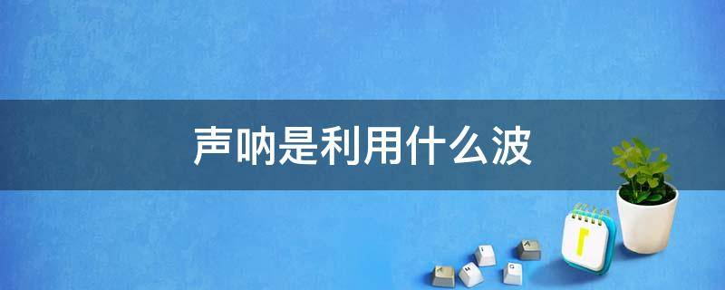 声呐是利用什么波 声呐是利用什么波工作的