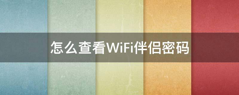 怎么查看WiFi伴侣密码（苹果手机怎么用wifi伴侣查看密码）