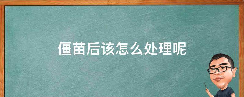 僵苗后该怎么处理呢 苗木僵苗后该怎么处理