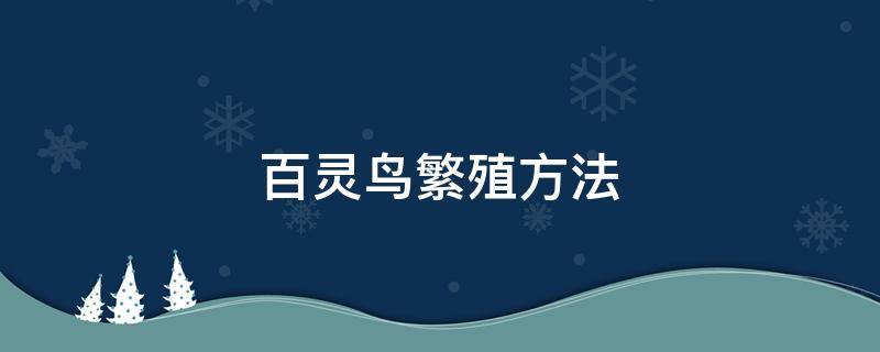 百灵鸟繁殖方法 百灵鸟人工怎样繁殖?