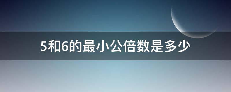 5和6的最小公倍数是多少（3和5和6的最小公倍数是多少）