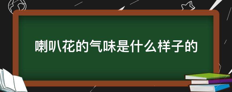 喇叭花的气味是什么样子的 喇叭花的颜色气味样子