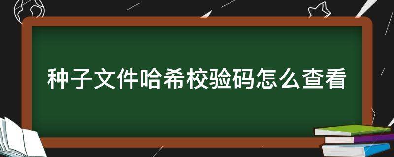 种子文件哈希校验码怎么查看 哈希校验码下载