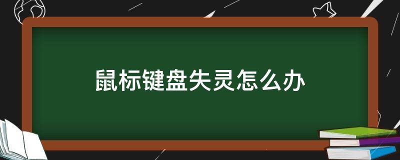 鼠标键盘失灵怎么办（鼠标键盘失灵怎么解决）