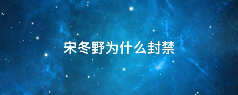 宋冬野为什么封禁 宋冬野为什么被禁言