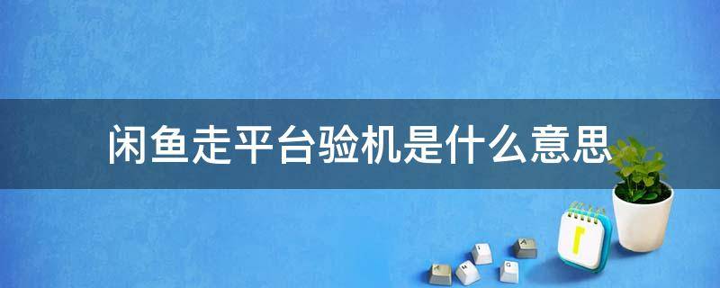 闲鱼走平台验机是什么意思 闲鱼货到验机是什么意思