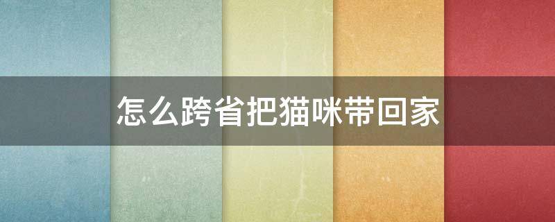 怎么跨省把猫咪带回家（怎么跨省把猫咪带回家开车会查不）