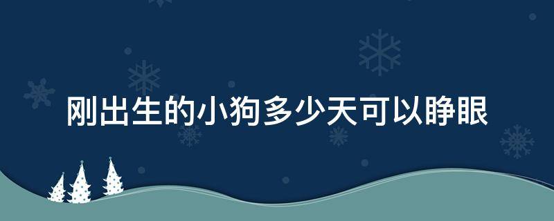 刚出生的小狗多少天可以睁眼 刚出生的小狗多少天可以睁眼睛