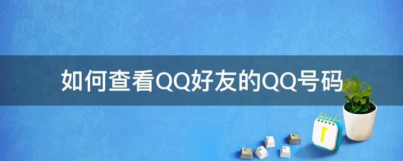 如何查看QQ好友的QQ号码（怎么查看qq好友号码）