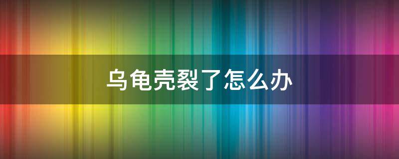 乌龟壳裂了怎么办（乌龟壳裂了怎么办上面有白色）