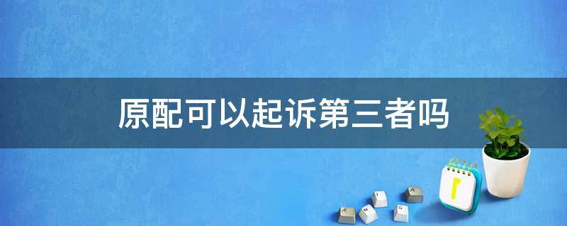 原配可以起诉第三者吗（原配可以起诉第三者吗还有小孩）