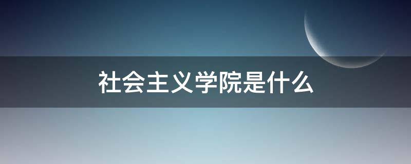 社会主义学院是什么