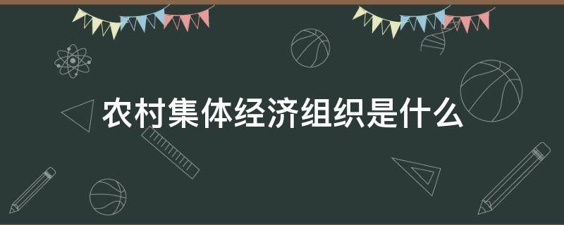 农村集体经济组织是什么（农村集体经济组织是什么类型）