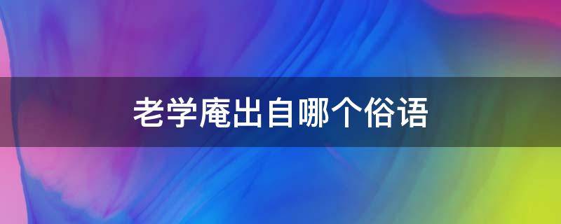 老学庵出自哪个俗语（老学庵笔记的意思）