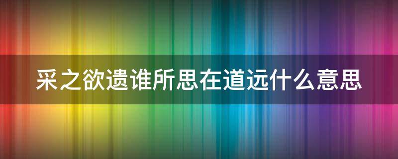 采之欲遗谁所思在道远什么意思 “采之欲遗谁 所思在远道”