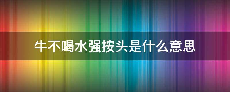 牛不喝水强按头是什么意思 牛不喝水强按头是什么意思理顺