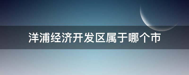 洋浦经济开发区属于哪个市（洋浦开发区属于哪个区）