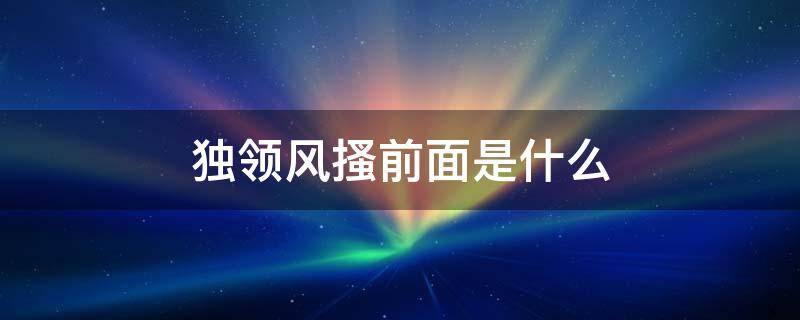 独领风搔前面是什么 独领风搔是什么意思争做东方第一枝