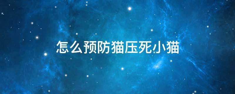 怎么预防猫压死小猫 防止母猫压死小猫