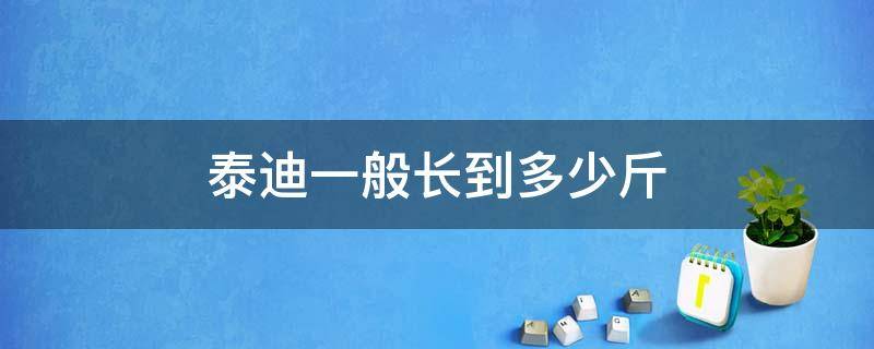 泰迪一般长到多少斤 泰迪狗长到多少斤