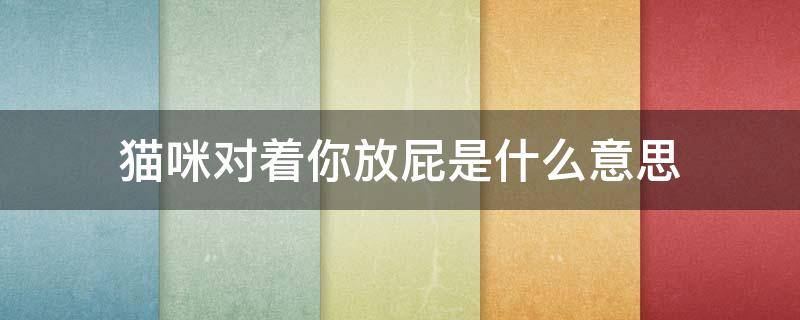 猫咪对着你放屁是什么意思 猫猫对着主人放屁