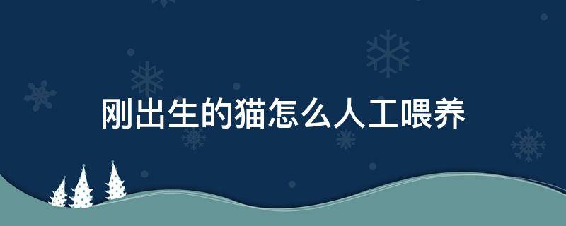 刚出生的猫怎么人工喂养 刚出生的猫如何人工喂养