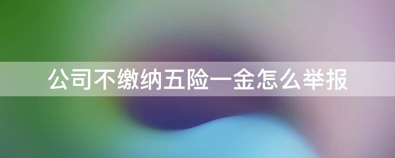 公司不缴纳五险一金怎么举报 企业不交五险一金怎么举报