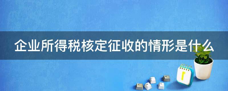 企业所得税核定征收的情形是什么 企业所得税核定征收的情形是什么意思