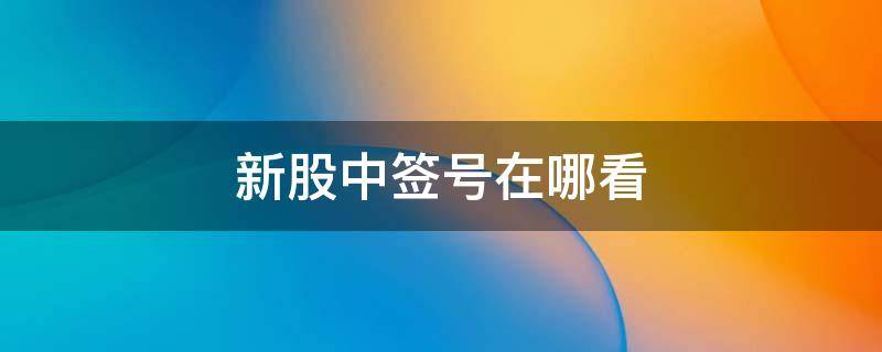 新股中签号在哪看（新股中签的号码在哪看）