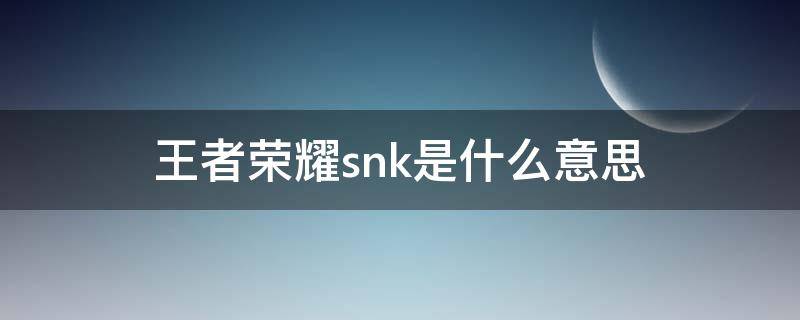 王者荣耀snk是什么意思 SNK什么意思