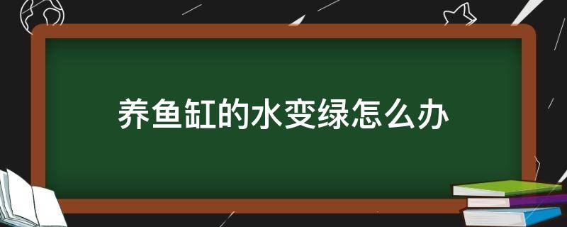 养鱼缸的水变绿怎么办 鱼缸养鱼水变绿怎么办