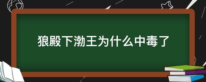 狼殿下渤王为什么中毒了 狼殿下渤王为何中毒