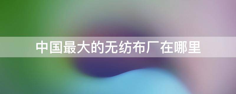 中国最大的无纺布厂在哪里 中国最大无纺布企业是哪个厂家