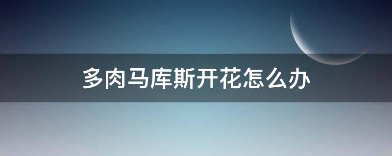 多肉马库斯开花怎么办（马库斯多肉怎么才会出状态）