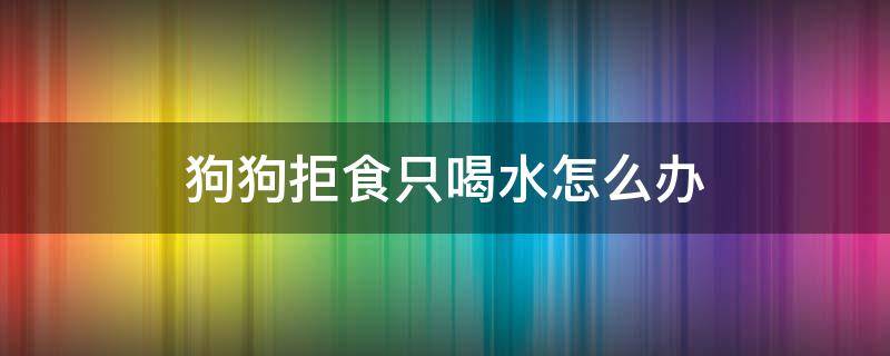 狗狗拒食只喝水怎么办 狗狗突然拒绝喝水