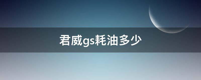 君威gs耗油多少（君威gs油耗怎么看）