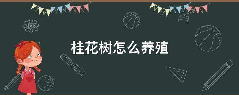 桂花树怎么养殖 桂花树怎么养殖百度百科