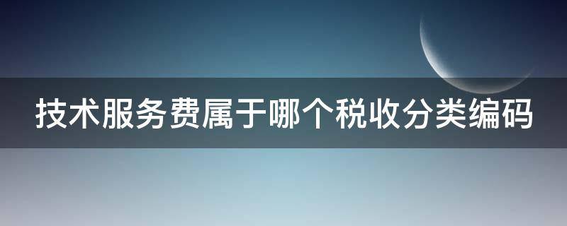 技术服务费属于哪个税收分类编码 技术服务费属于哪个税收分类编码的