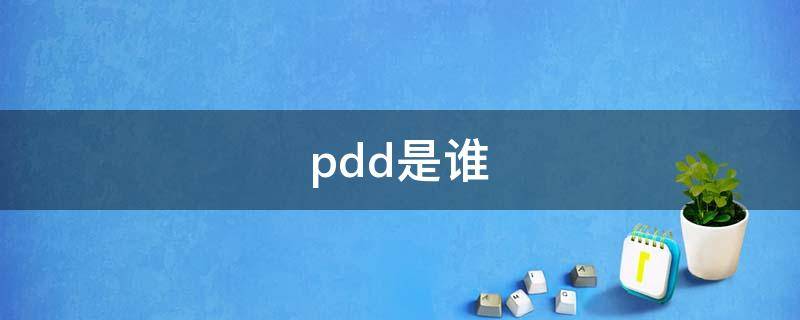 pdd是谁 pdd是什么意思